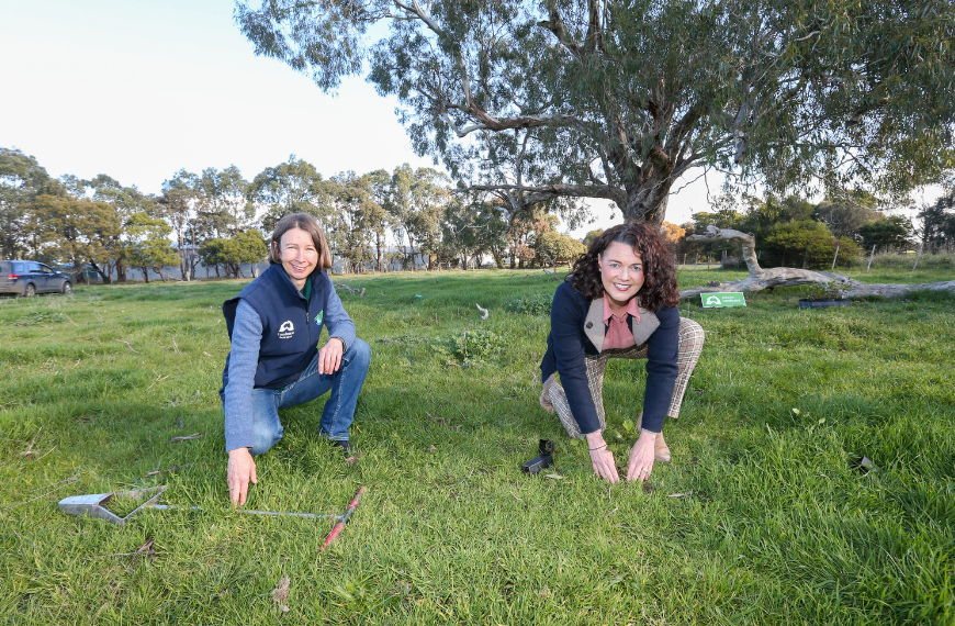 Planting trees for the Queen's Jubilee Main Image